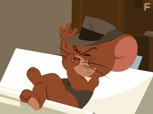 The Tom and Jerry Show (2014)