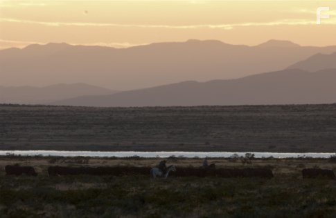 Три могилы (2005)