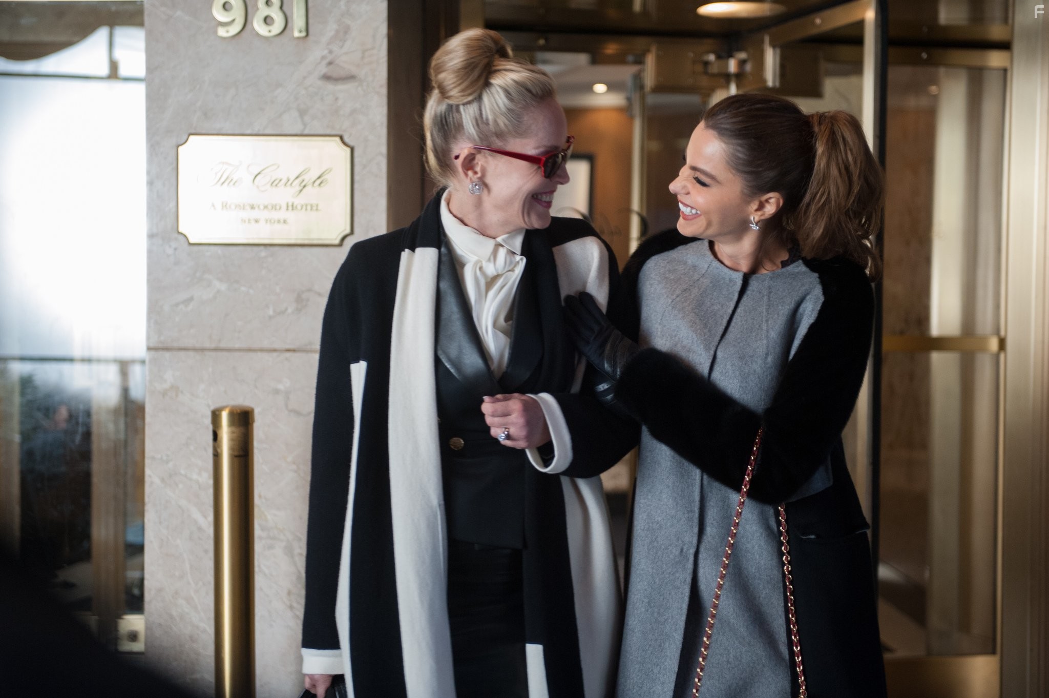 Sharon Stone and Sof?a Vergara in Под маской жиголо (2013)