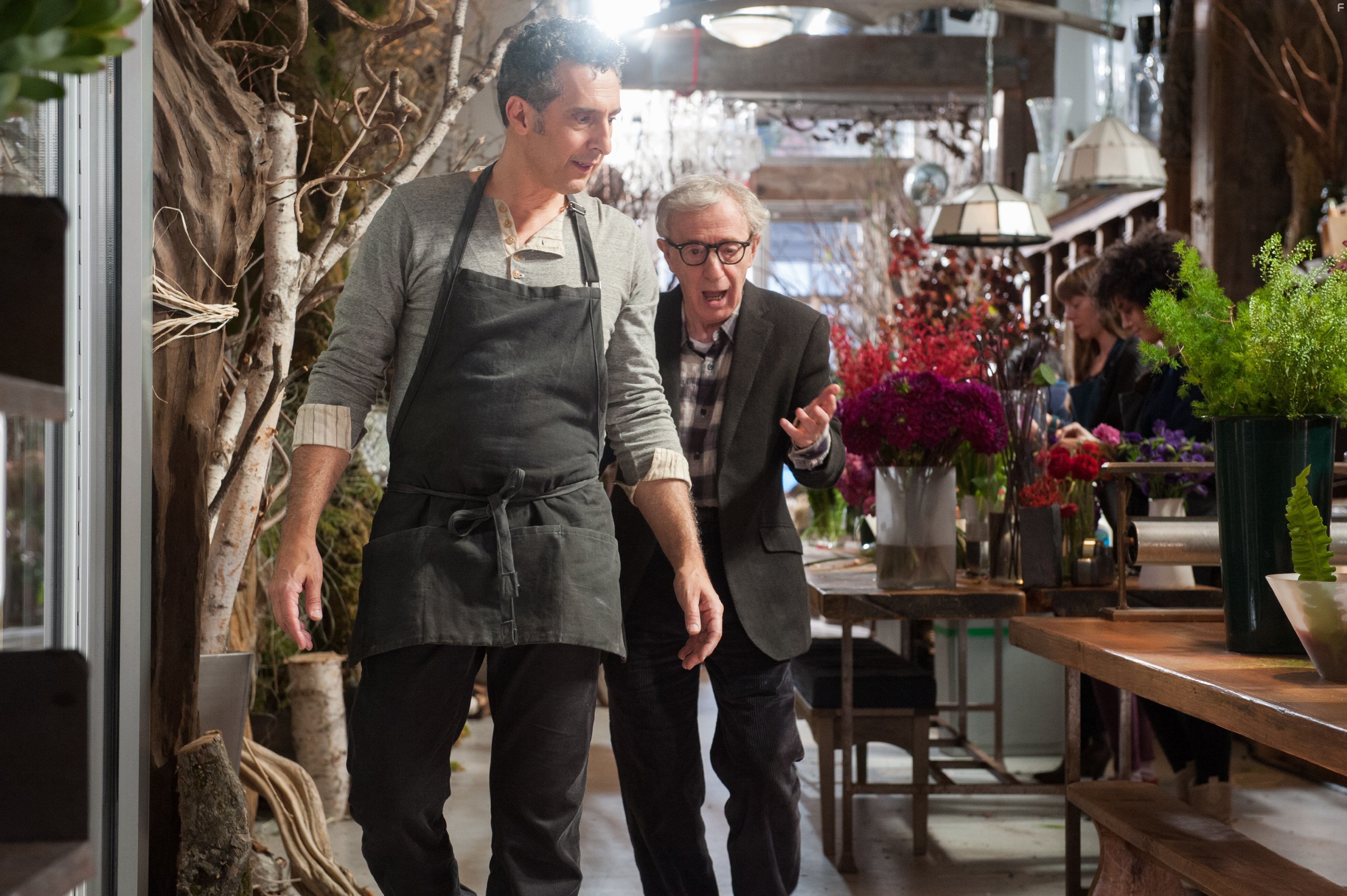 Woody Allen and John Turturro in Под маской жиголо (2013)
