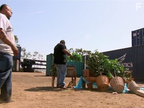 Container Wars (2013)