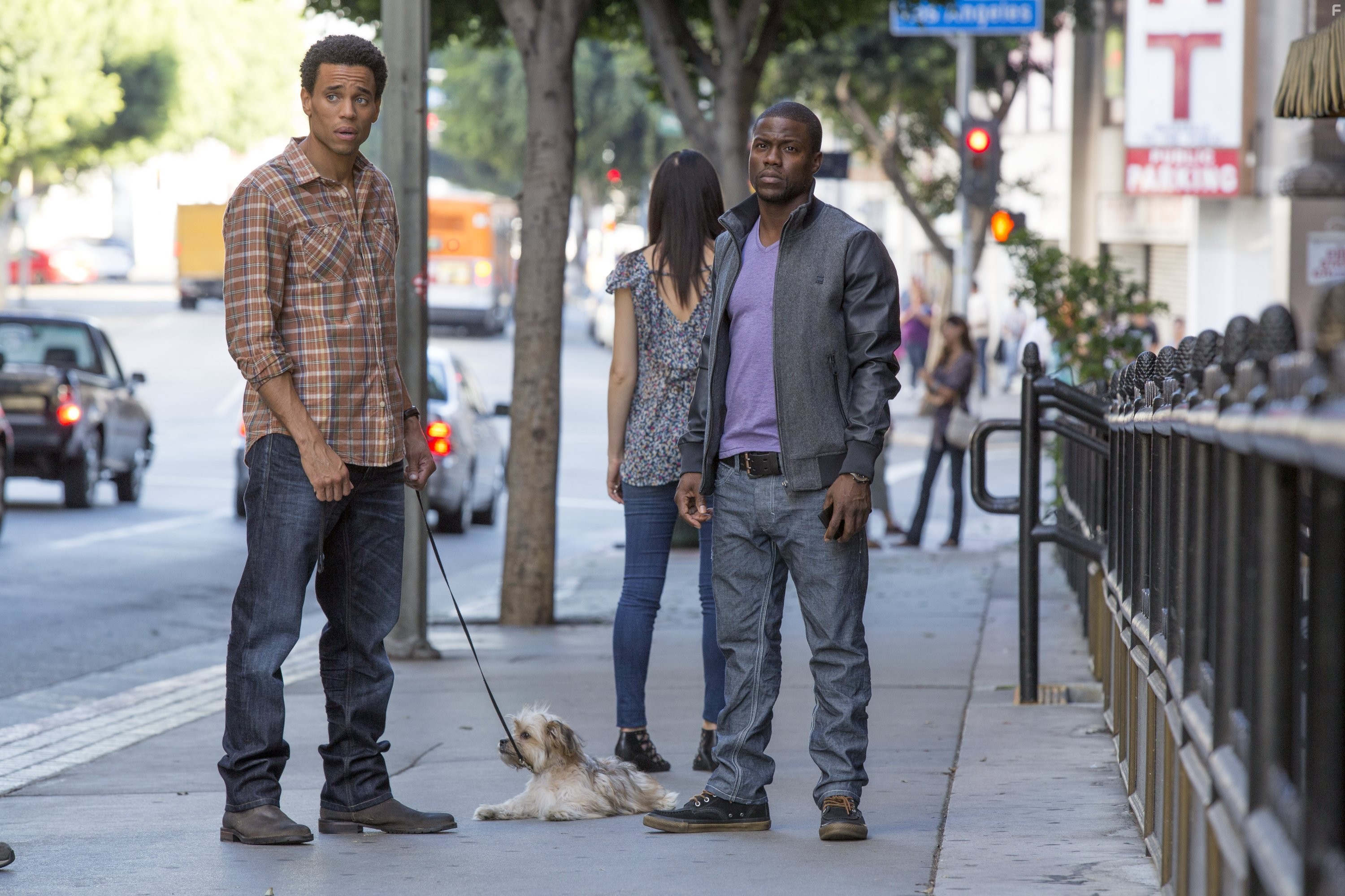 Kevin Hart and Michael Ealy in Чтo случилось прошлой ночью (2014)