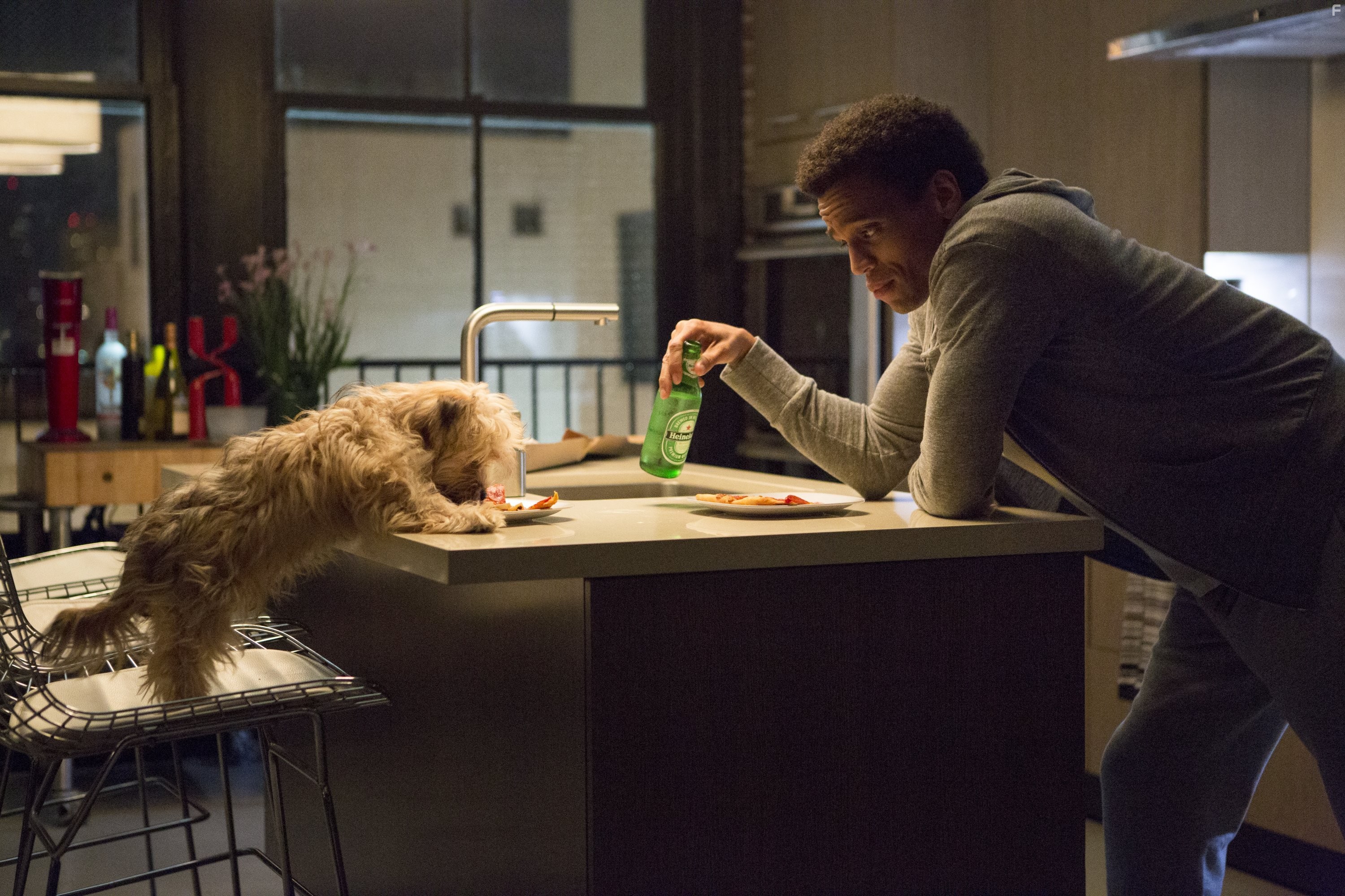 Michael Ealy in Чтo случилось прошлой ночью (2014)