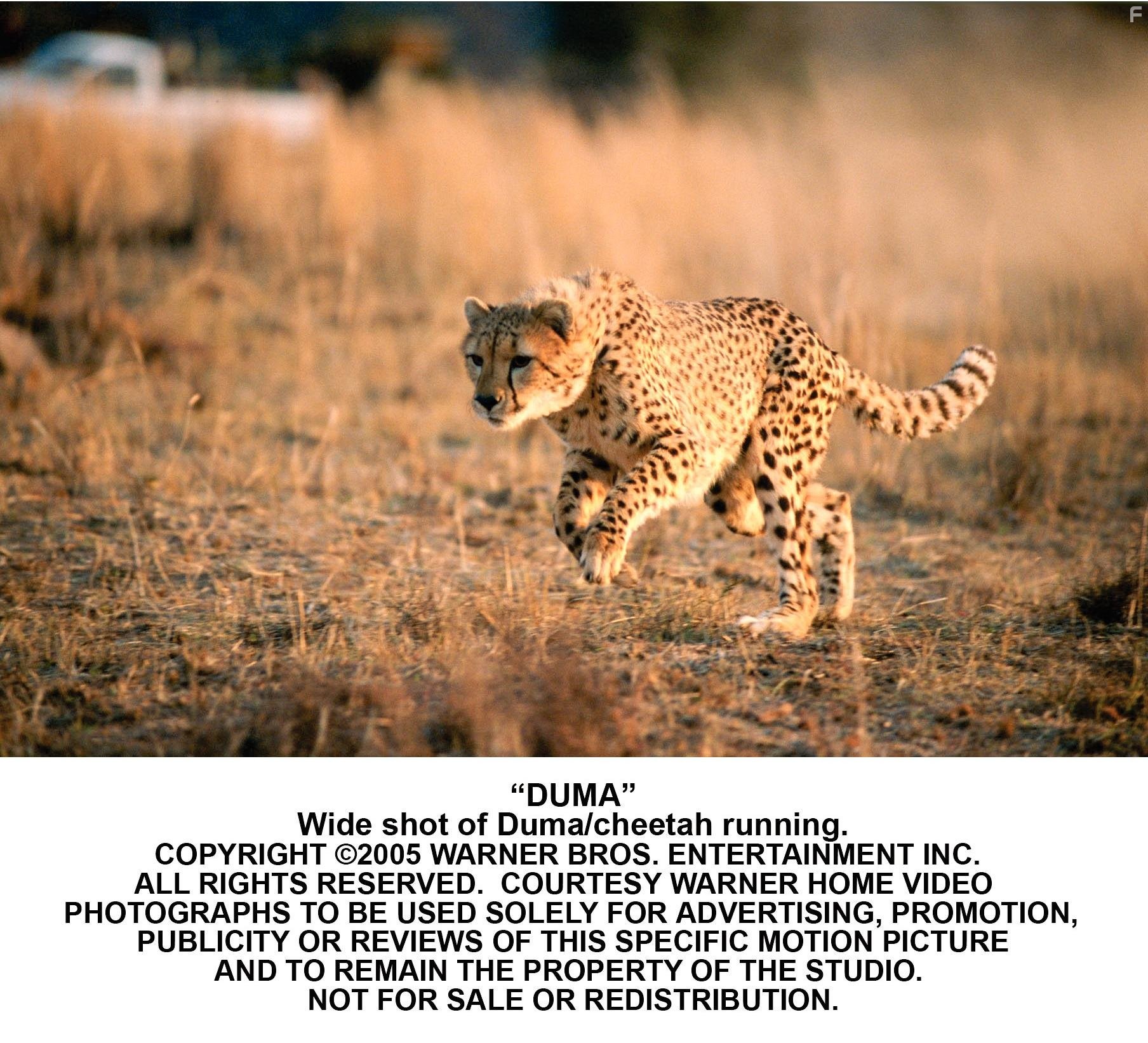 Мысли о свободе (2005)