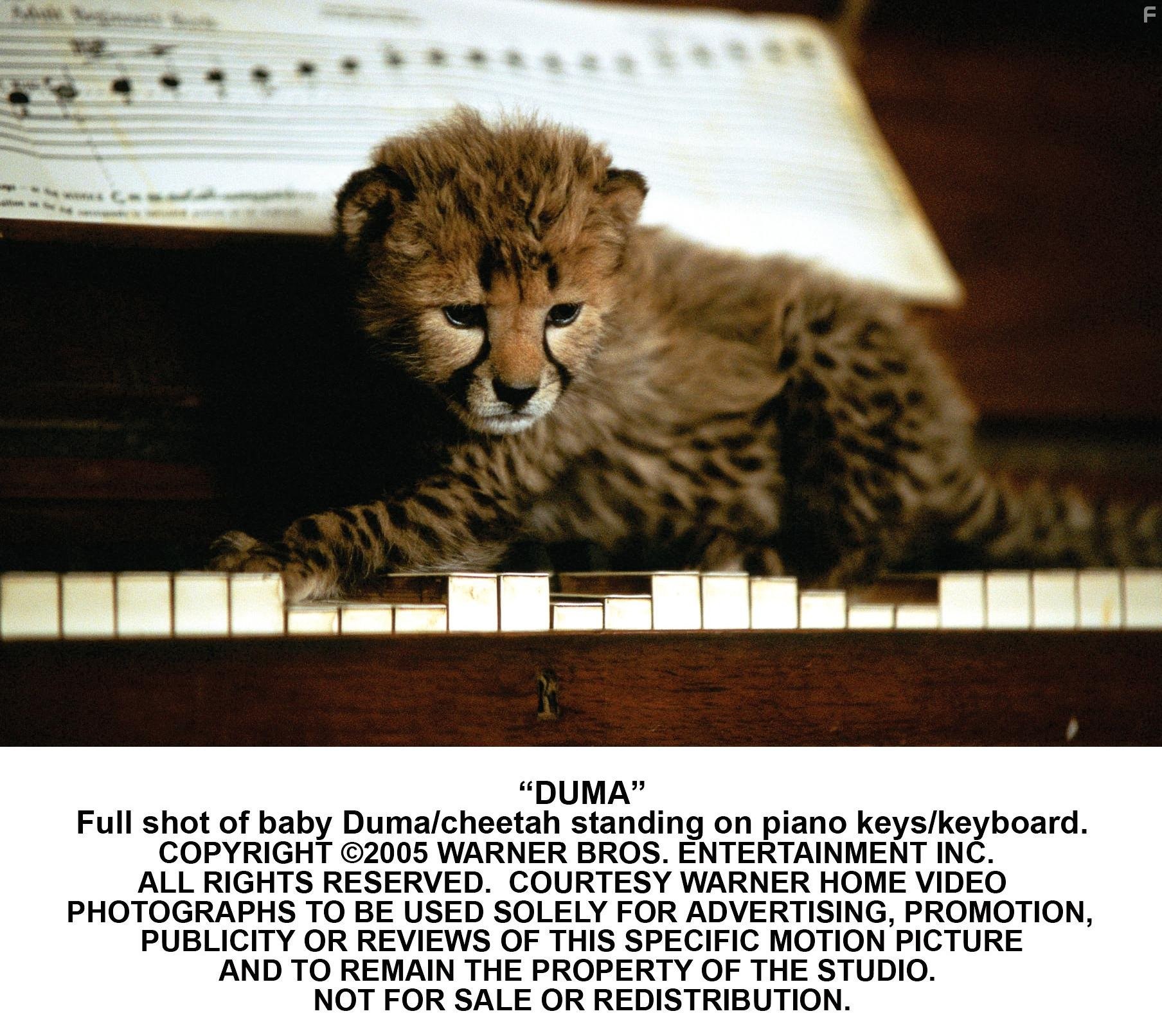 Мысли о свободе (2005)