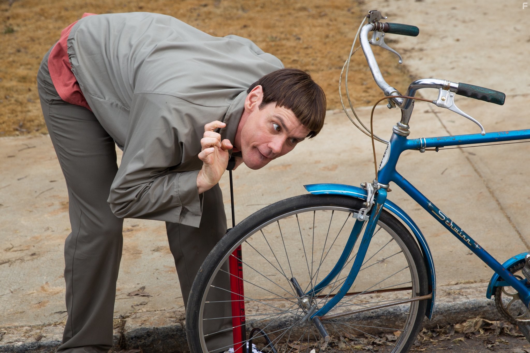 Jim Carrey in Тупой и ещё тупее 2 (2014)