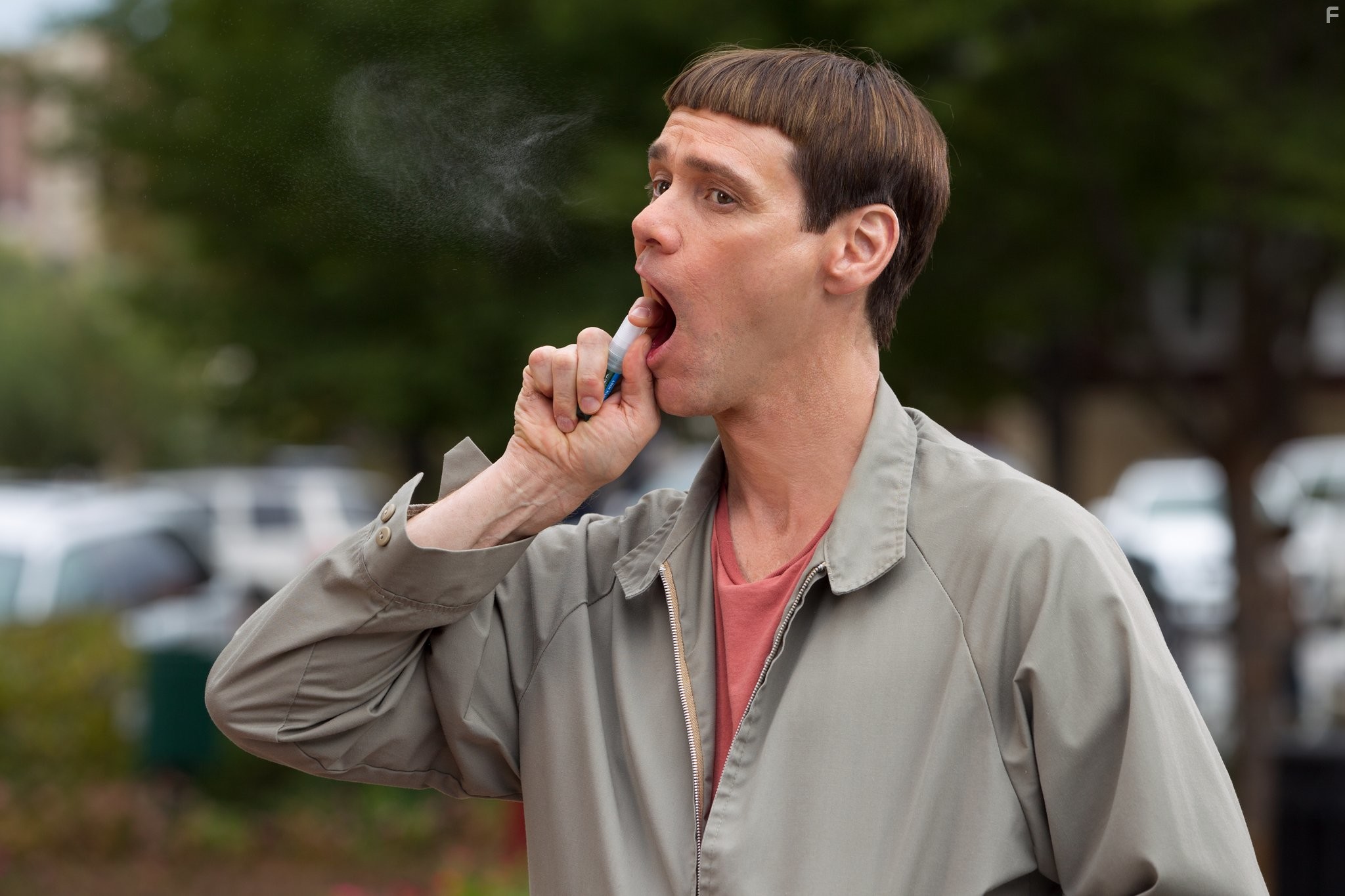 Jim Carrey in Тупой и ещё тупее 2 (2014)