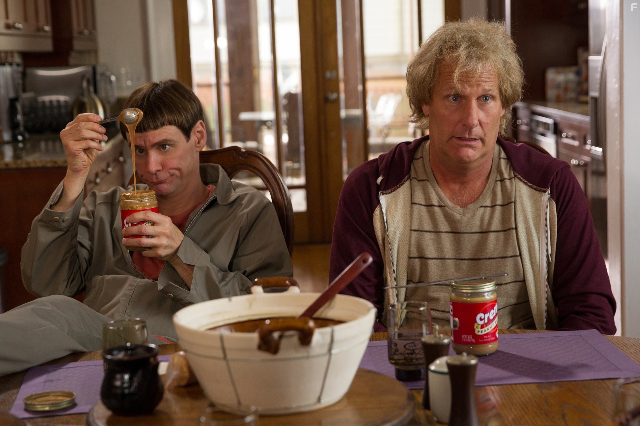 Jim Carrey and Jeff Daniels in Тупой и ещё тупее 2 (2014)
