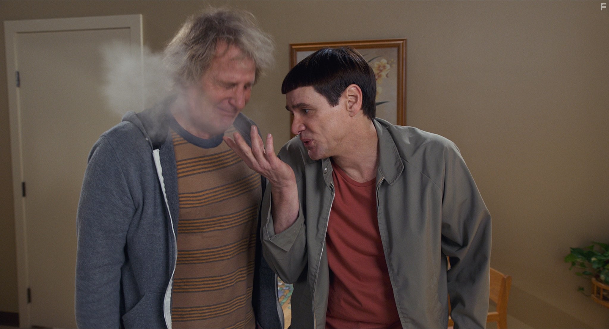 Jim Carrey and Jeff Daniels in Тупой и ещё тупее 2 (2014)