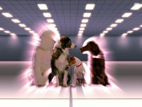 Мертвые до востребования (2007)