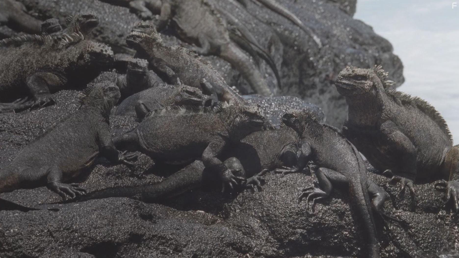 Kingdom of the Oceans (2011)