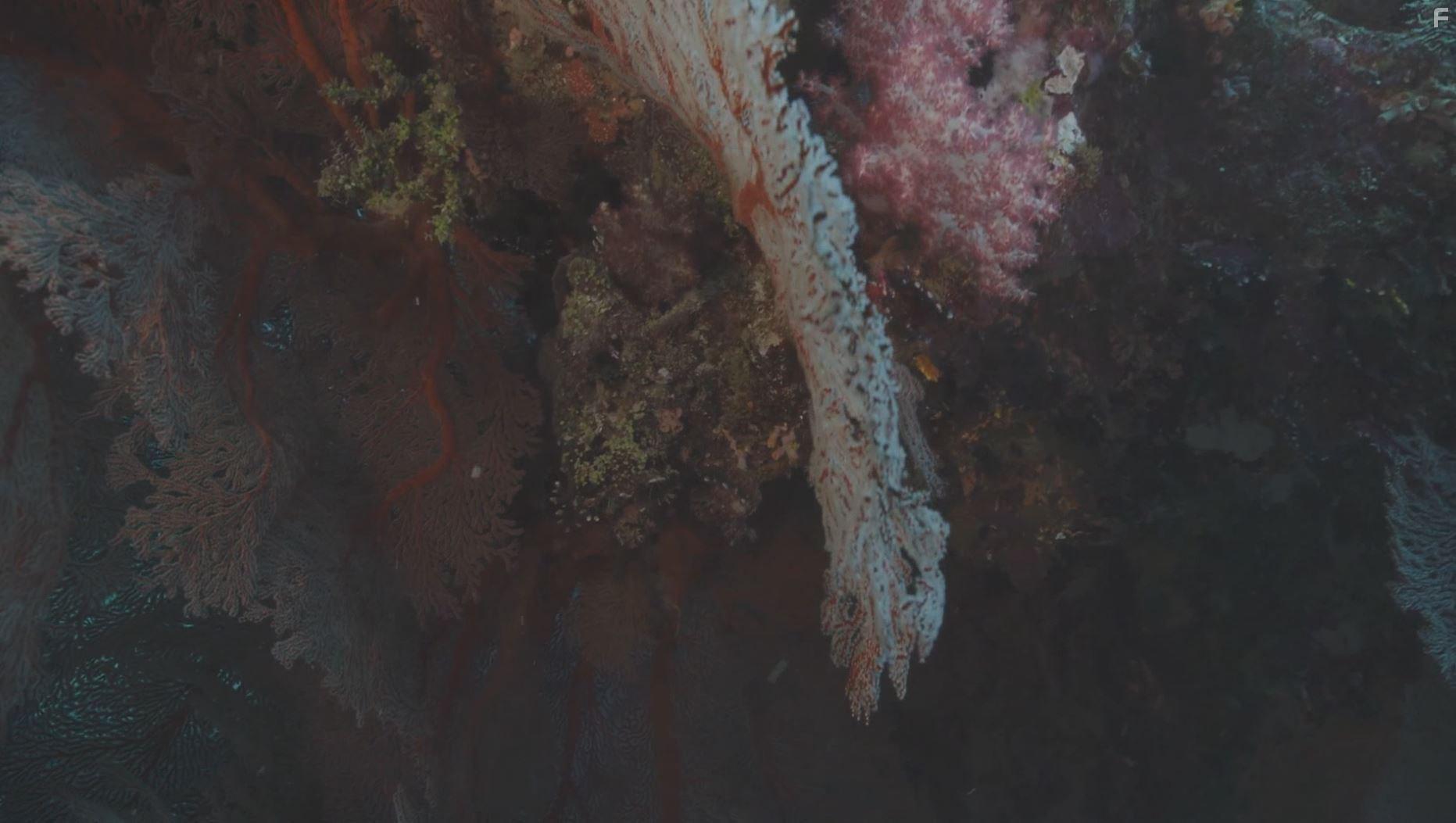 Kingdom of the Oceans (2011)