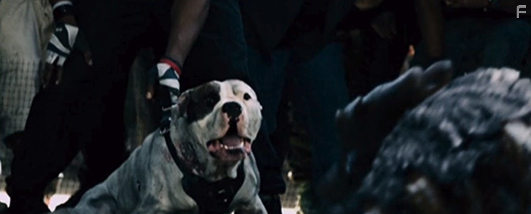 Монстры 2: Темный континент (2014)