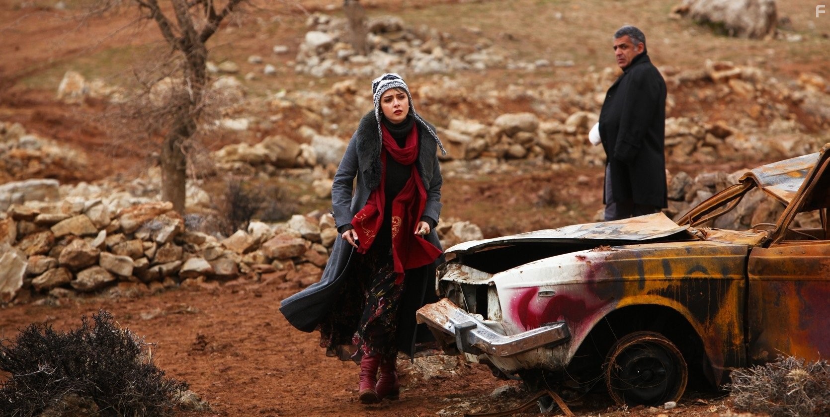Taraneh Alidoosti and Mani Haghighi in Paziraie sadeh (2012)