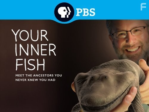 Your Inner Fish (2014)