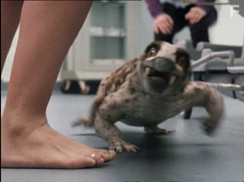 Портал юрского периода (2007)