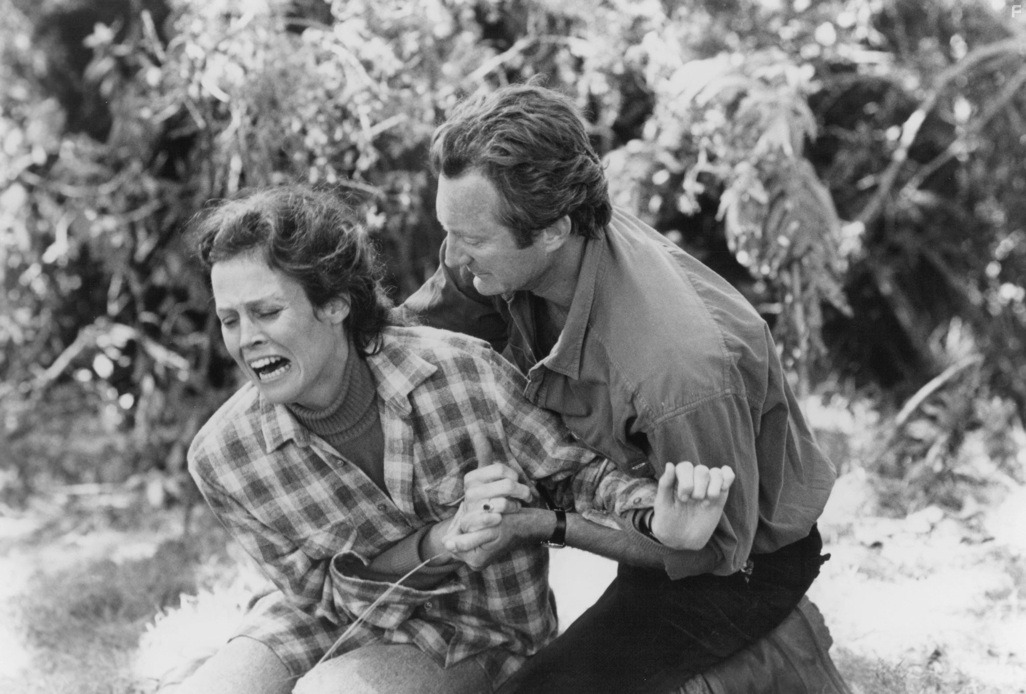 Sigourney Weaver and Bryan Brown in Гориллы в тумане (1988)