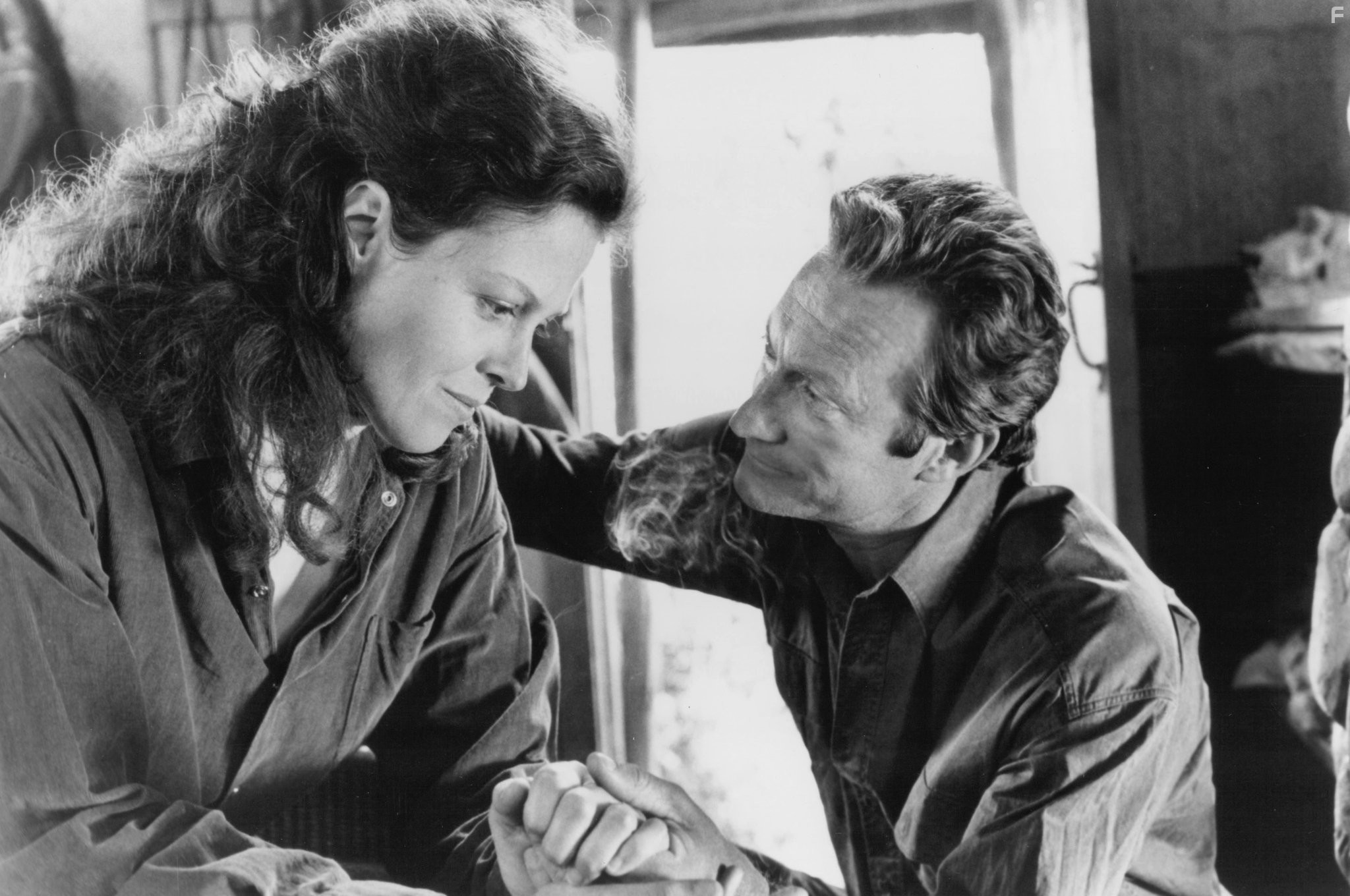 Sigourney Weaver and Bryan Brown in Гориллы в тумане (1988)