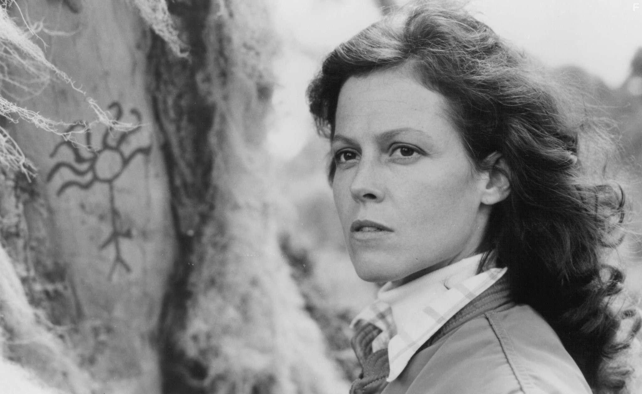 Sigourney Weaver in Гориллы в тумане (1988)