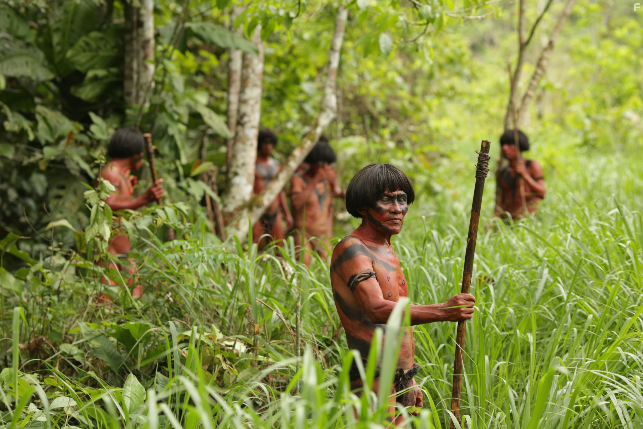 Зеленый ад (2013)