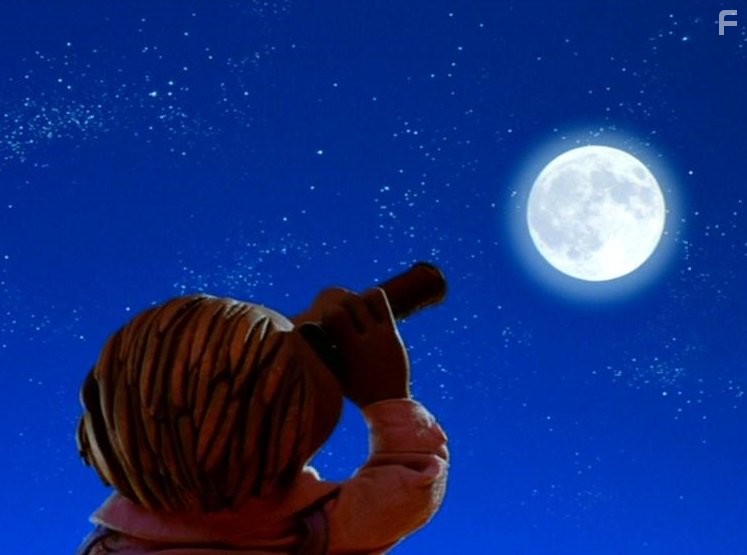 Братья Коалы