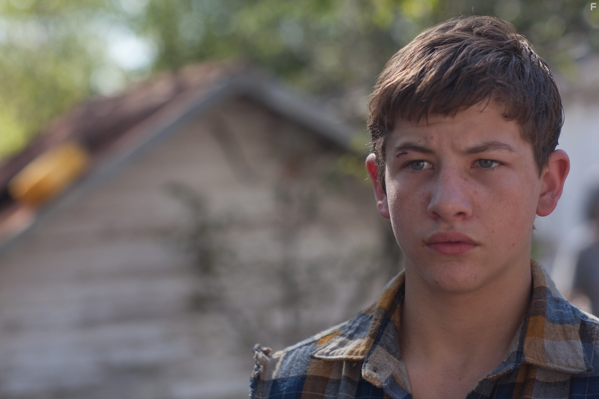 Tye Sheridan in Джо (2013)
