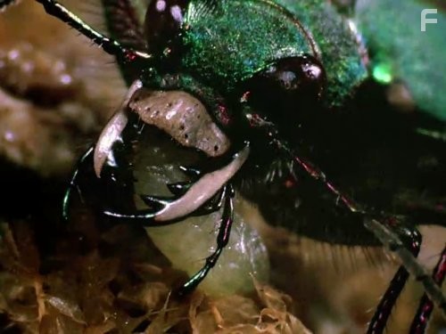 Во Вселенную со Стивеном Хокингом (2010)