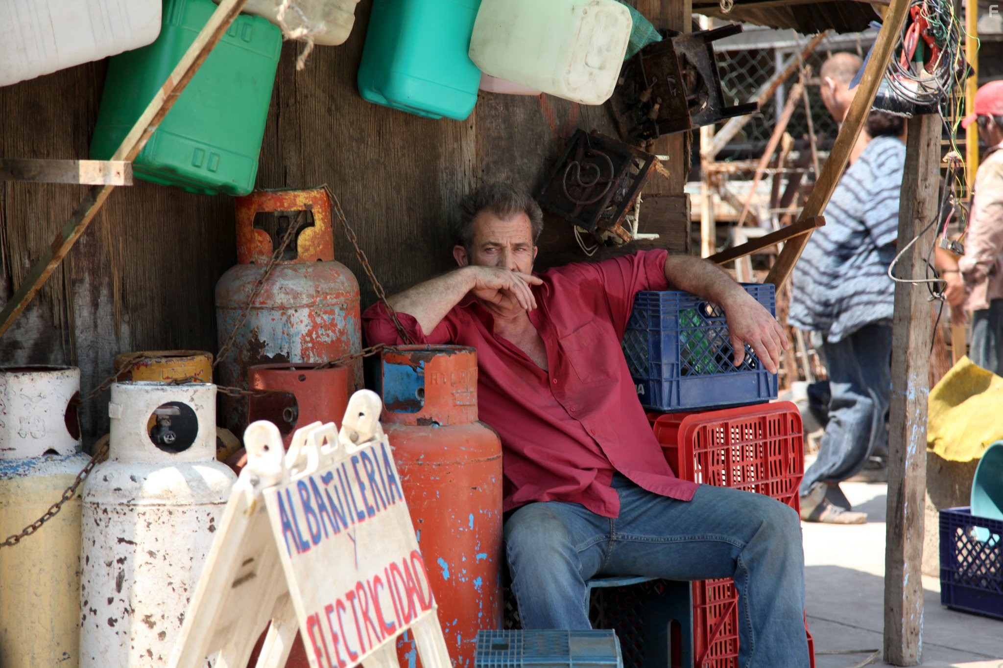 Mel Gibson in 'Весёлые' каникулы (2012)