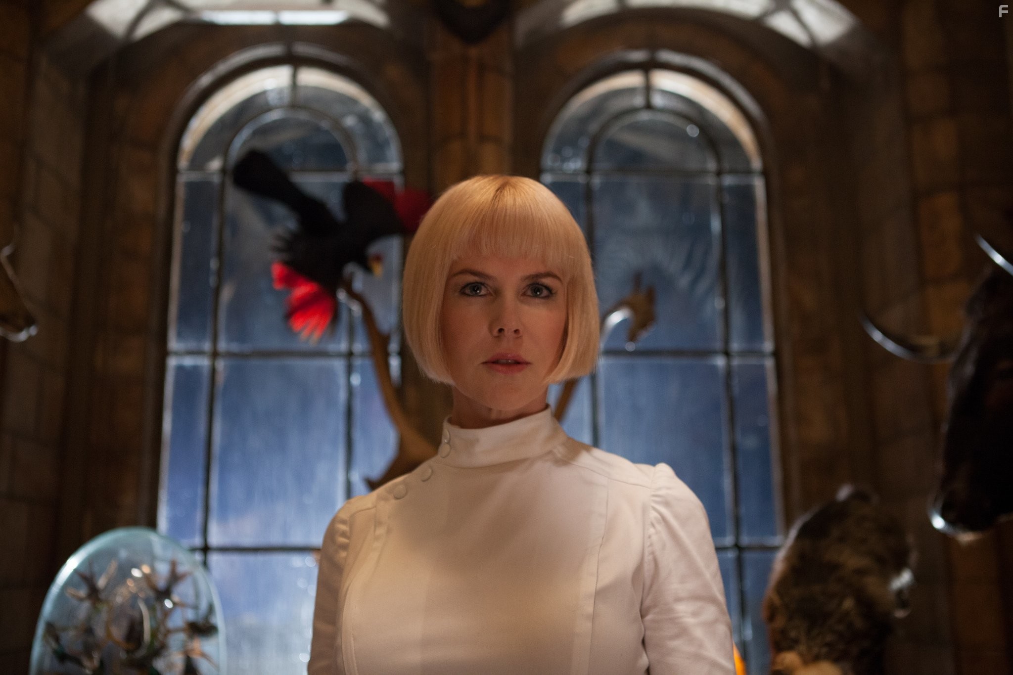 Nicole Kidman in Приключения Паддингтона (2014)