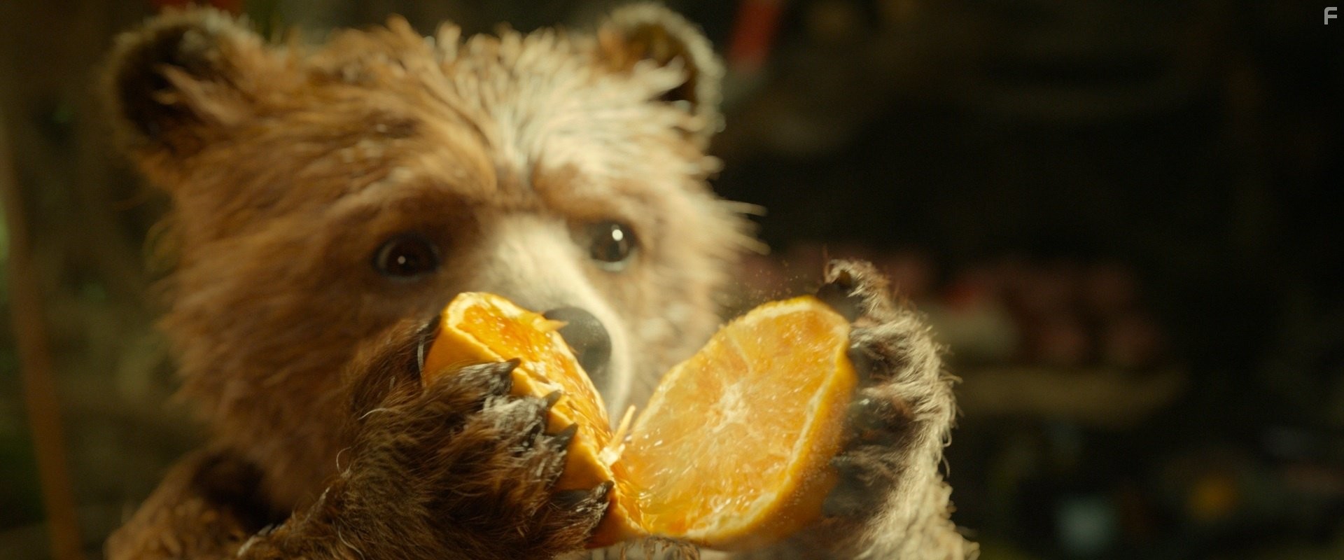 Приключения Паддингтона (2014)