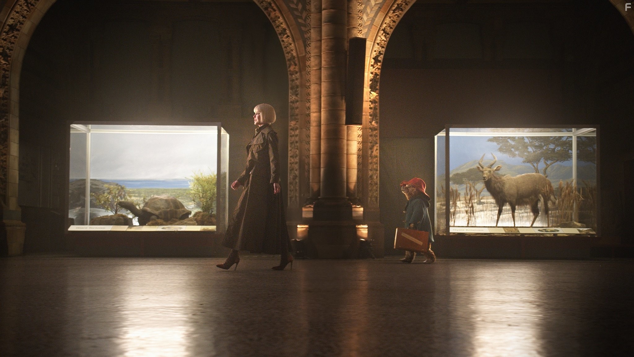 Nicole Kidman in Приключения Паддингтона (2014)