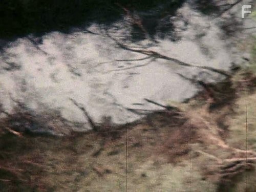 Затерянные хроники вьетнамской войны