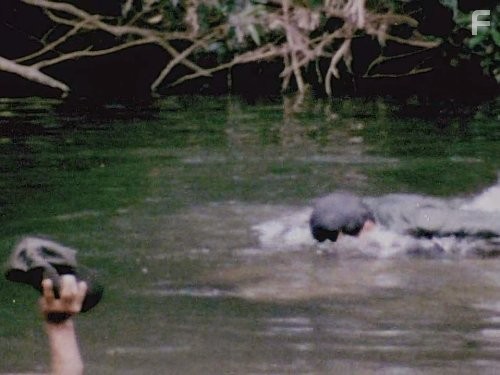 Vietnam in HD (2011)