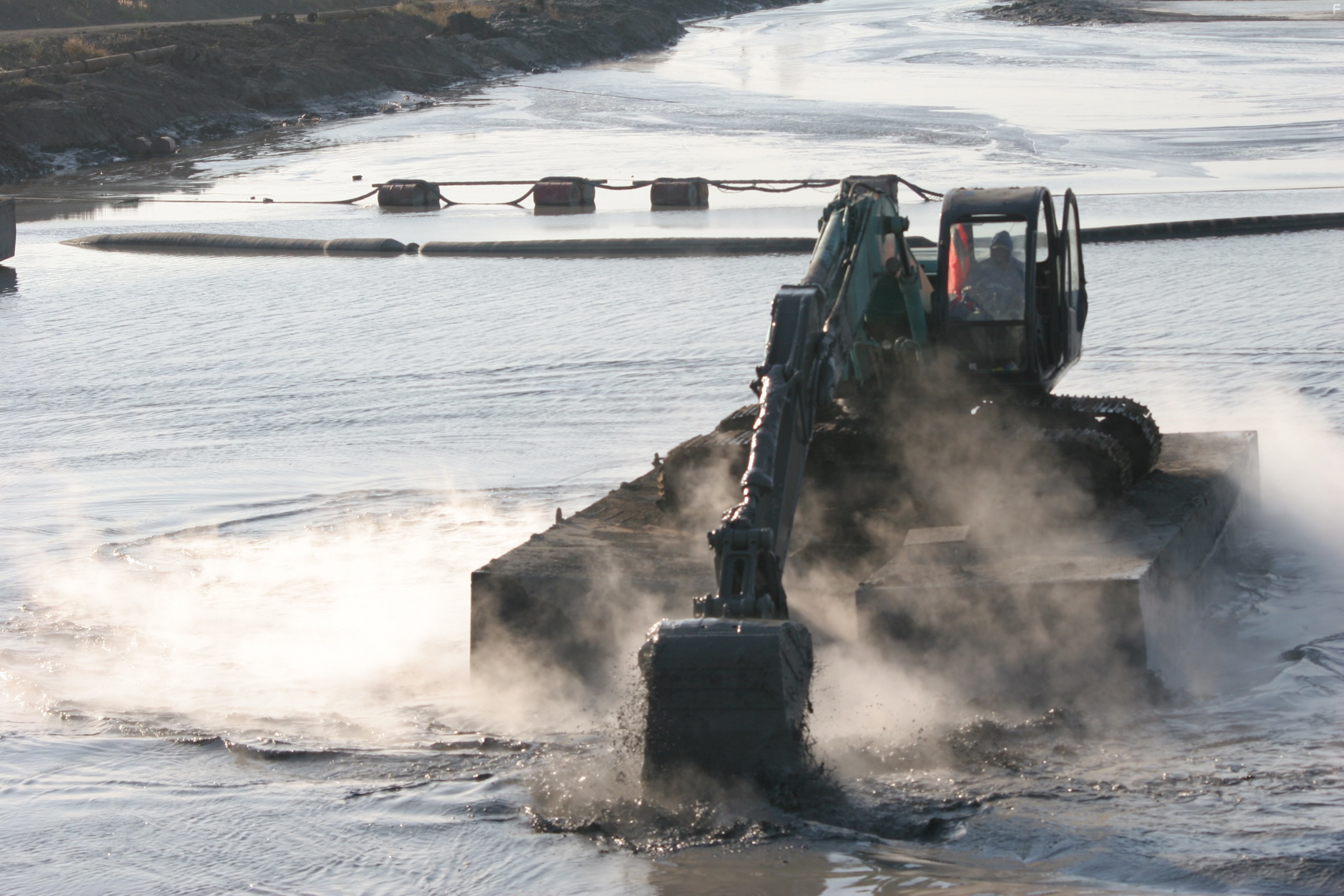 How Earth Made Us (2010)