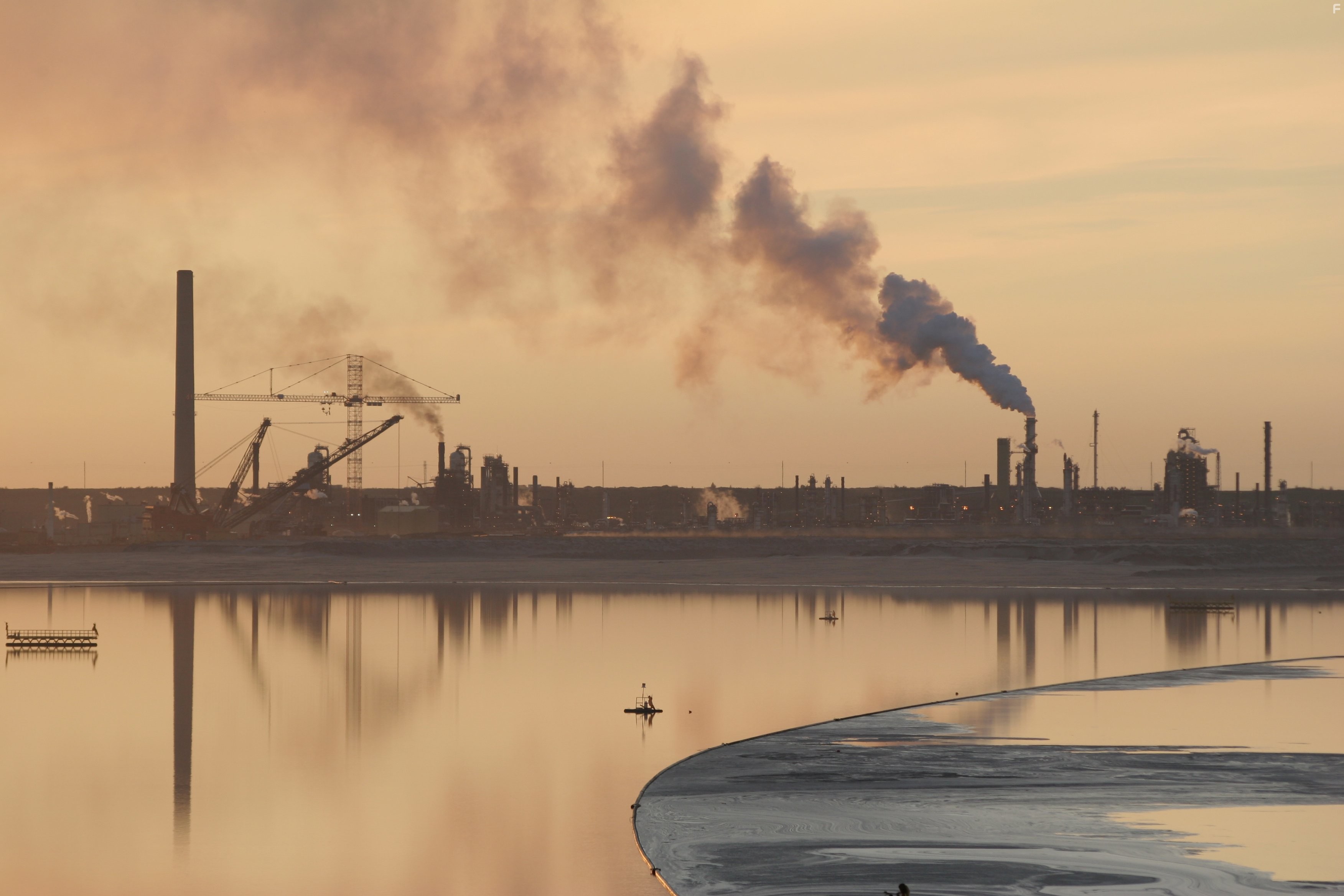 How Earth Made Us (2010)