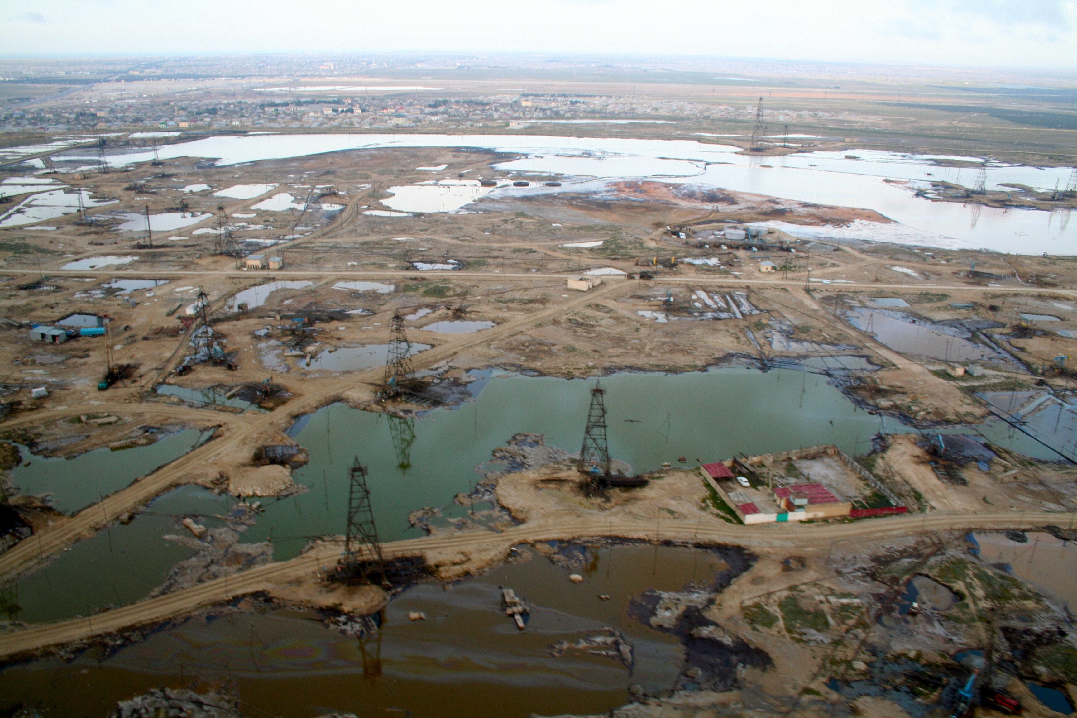 How Earth Made Us (2010)