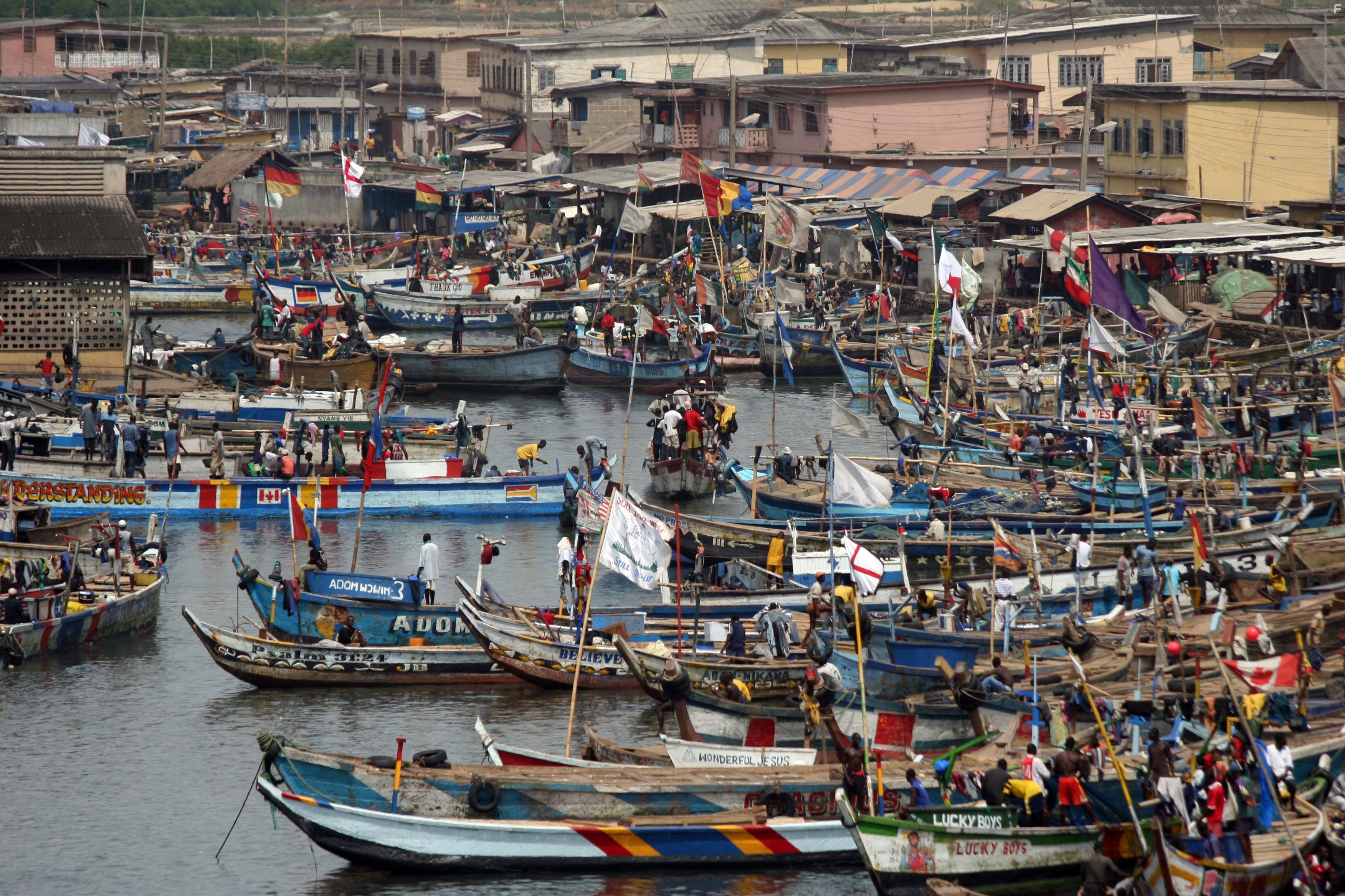 How Earth Made Us (2010)