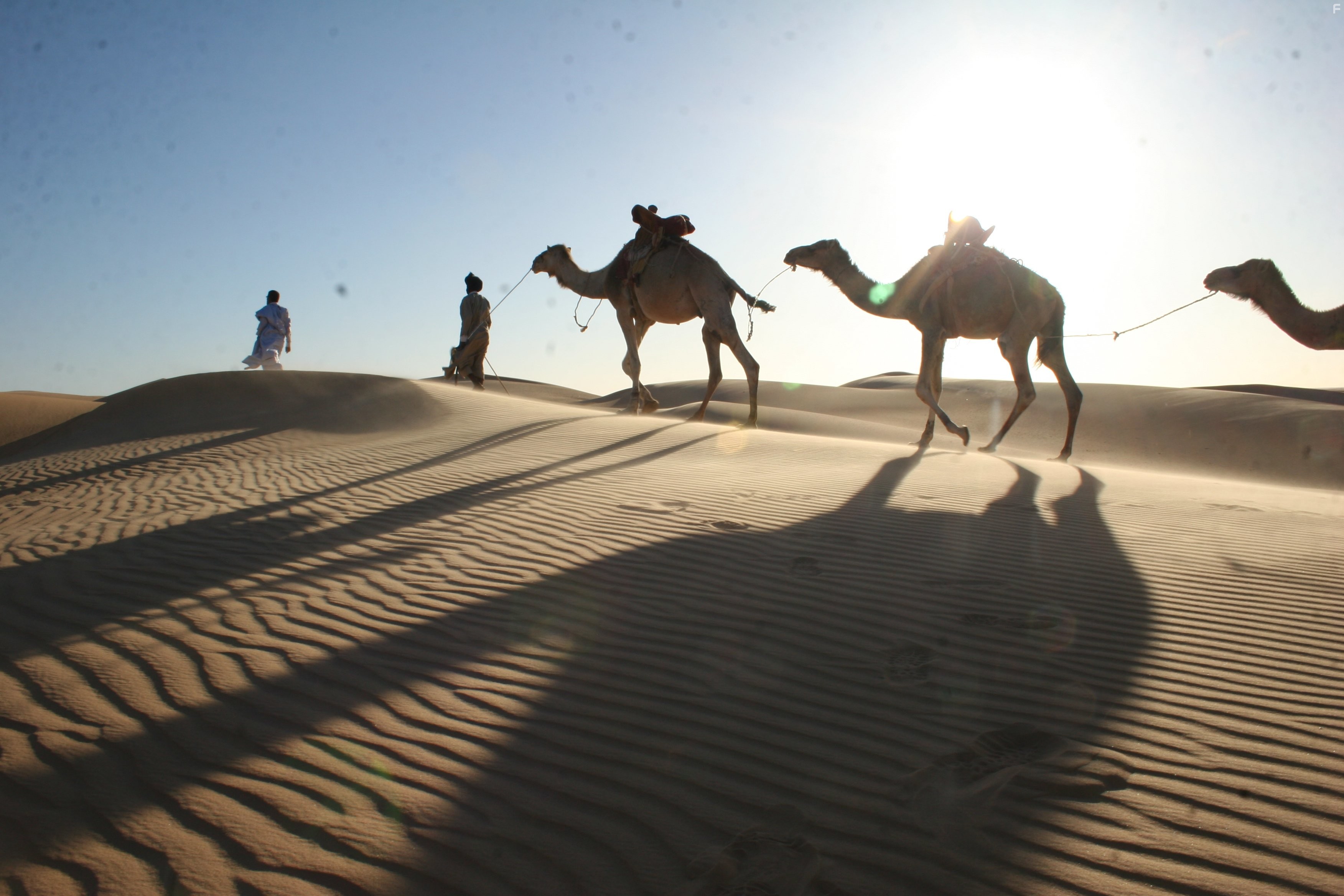 How Earth Made Us (2010)