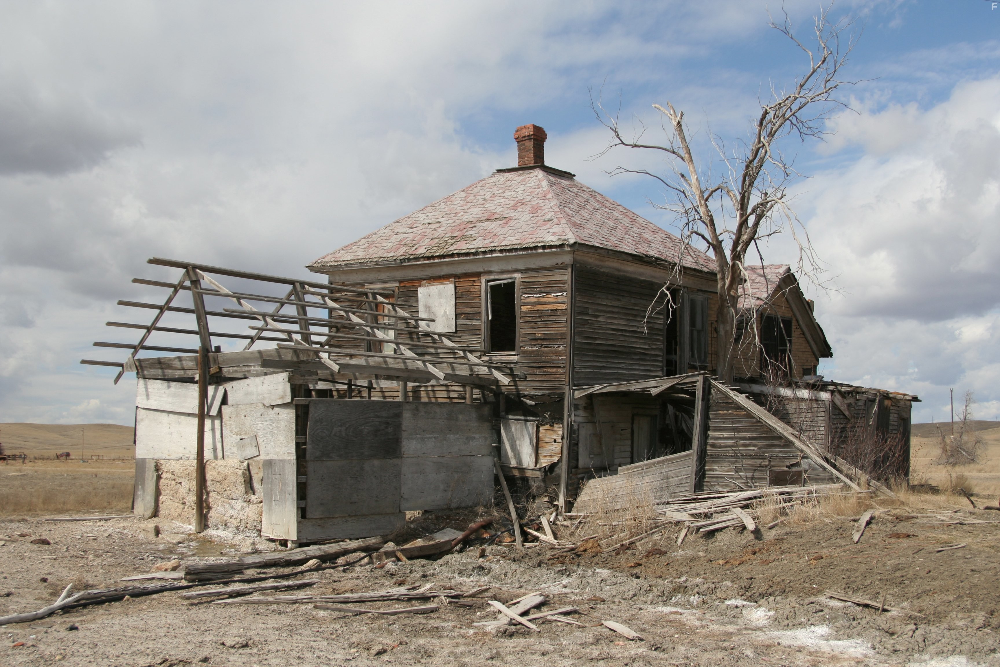 How Earth Made Us (2010)