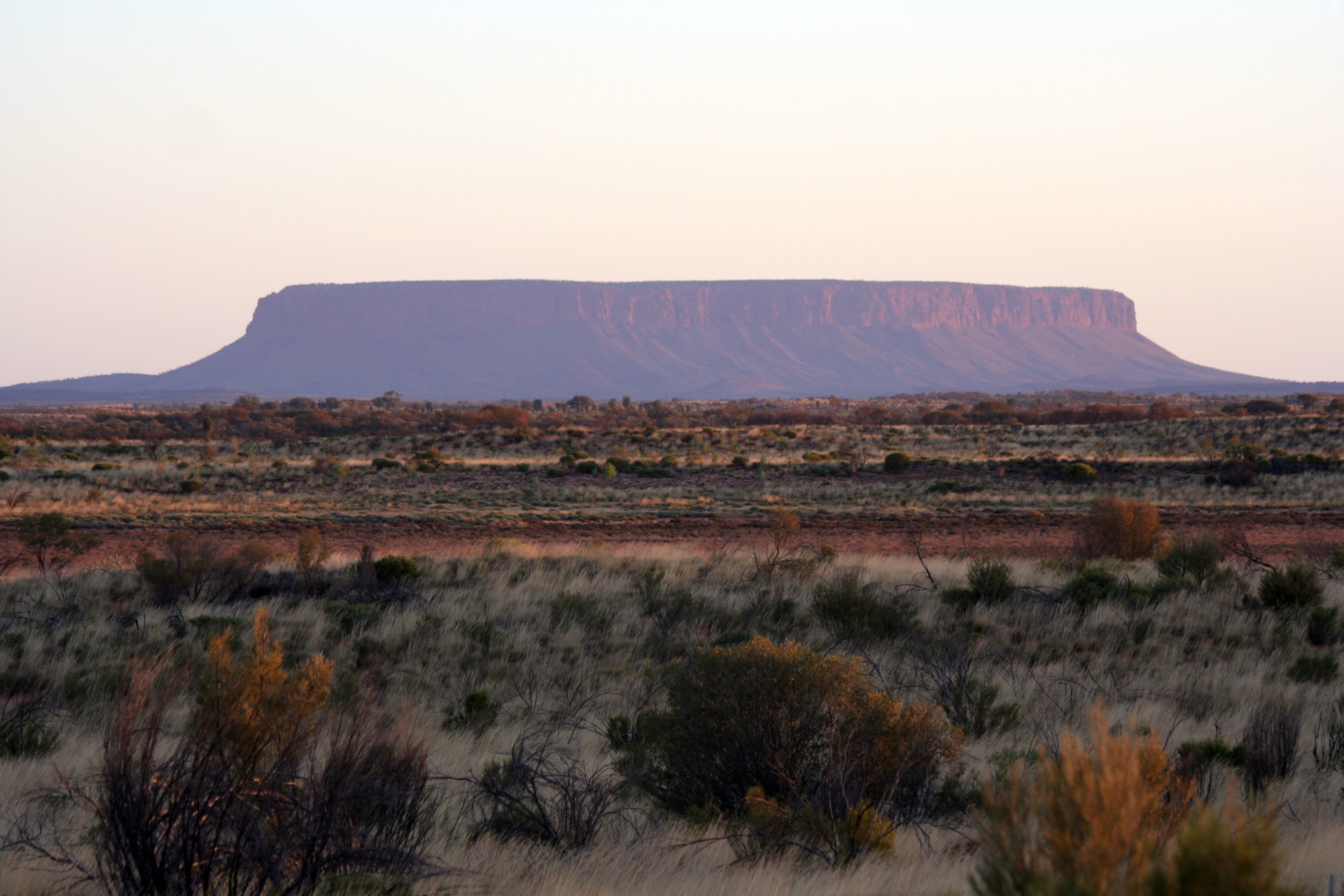 How Earth Made Us (2010)