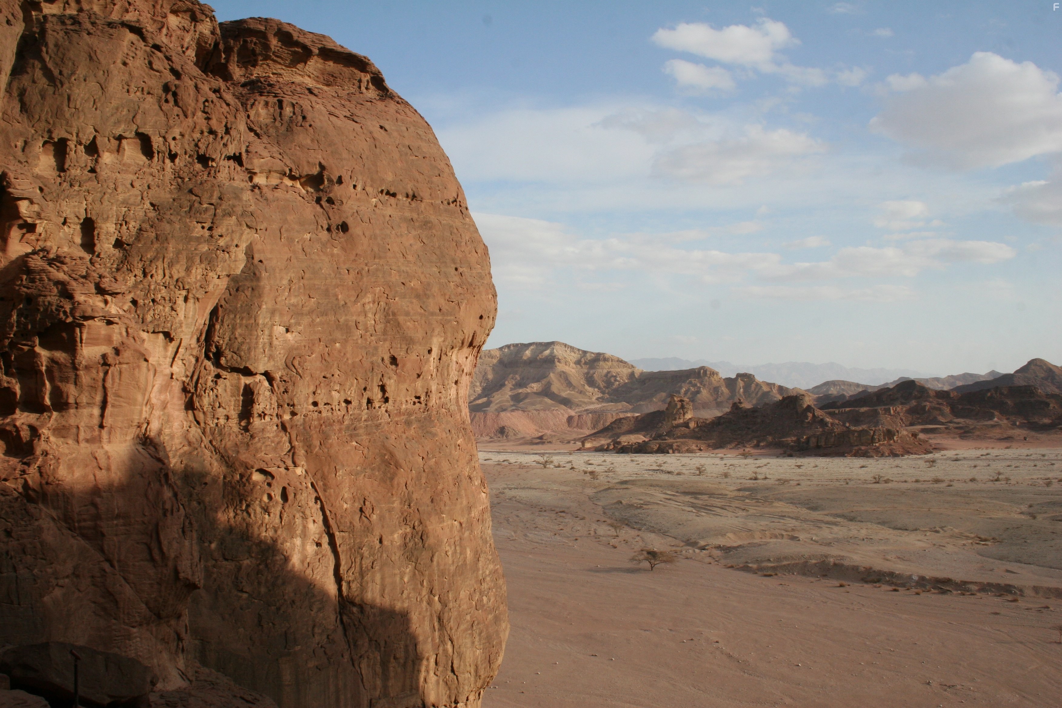 How Earth Made Us (2010)