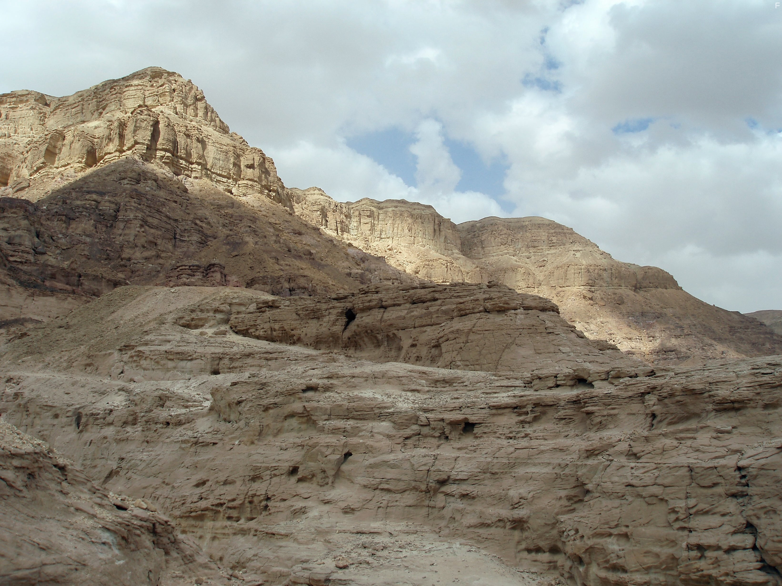 How Earth Made Us (2010)