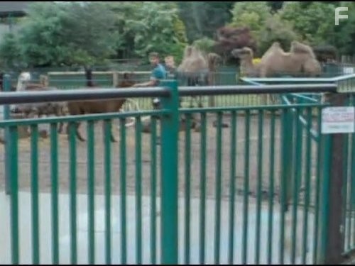 Новые уловки (2003)