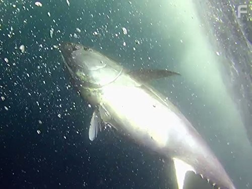 Wicked Tuna (2012)