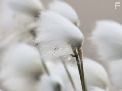 America: The Story of Us (2010)