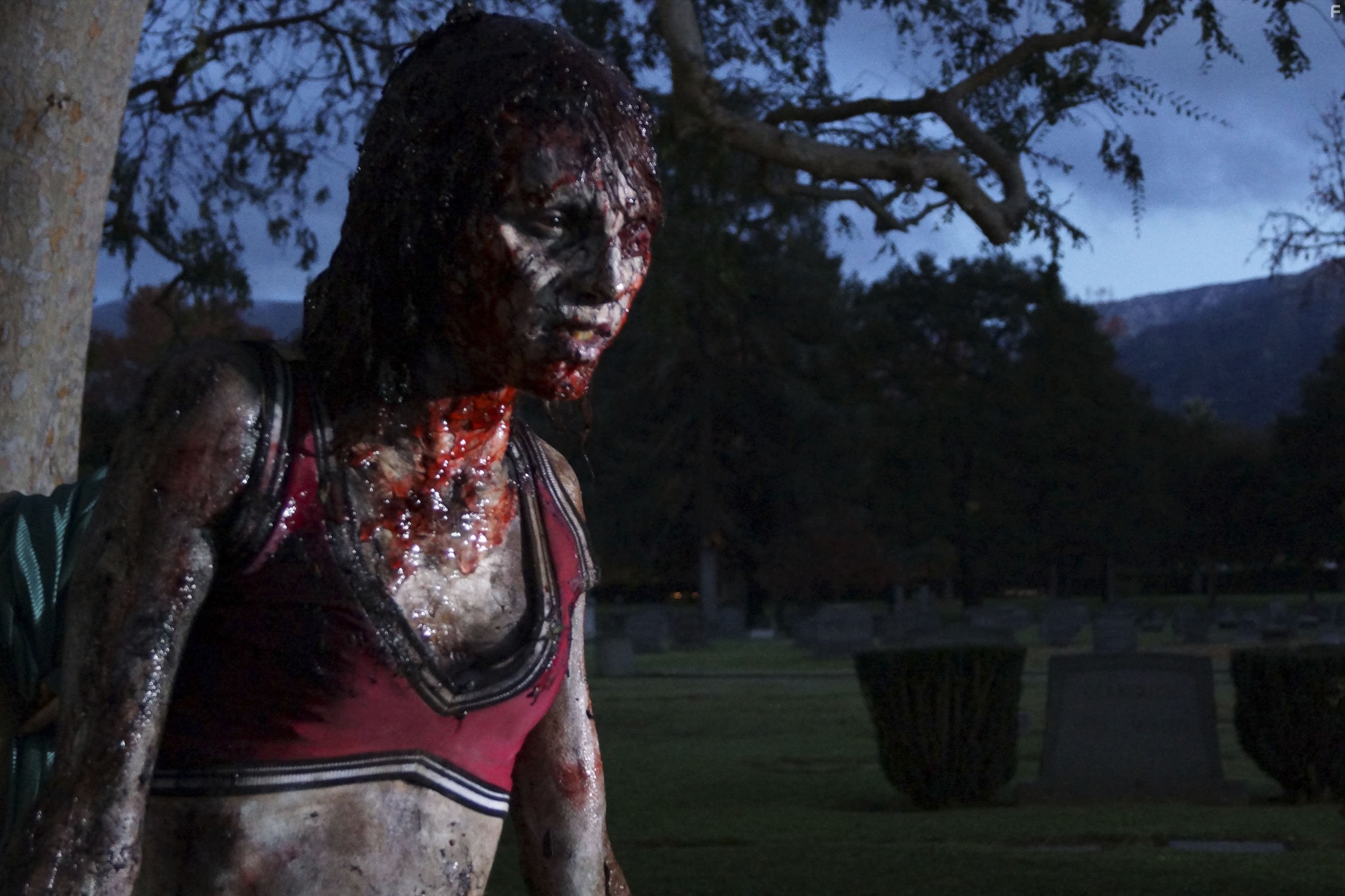 Все болельщицы умрут (2013)