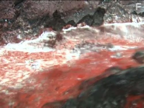 Ultimate Factories (2006)