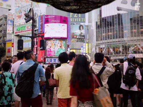 Strip the City (2012)