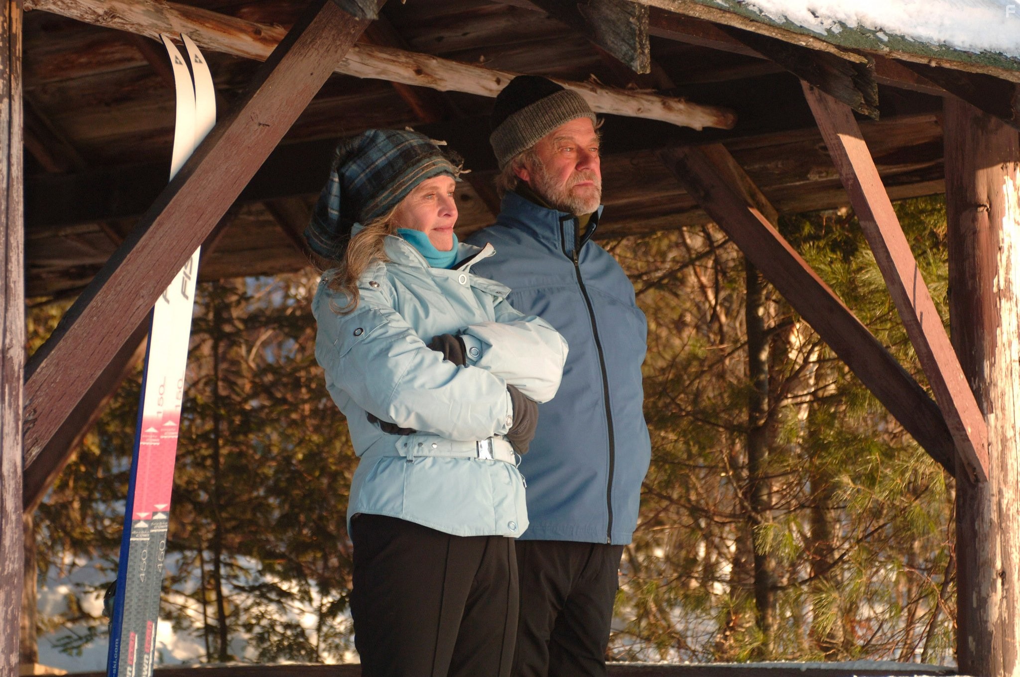 Julie Christie and Gordon Pinsent in Bдaли от нее (2006)
