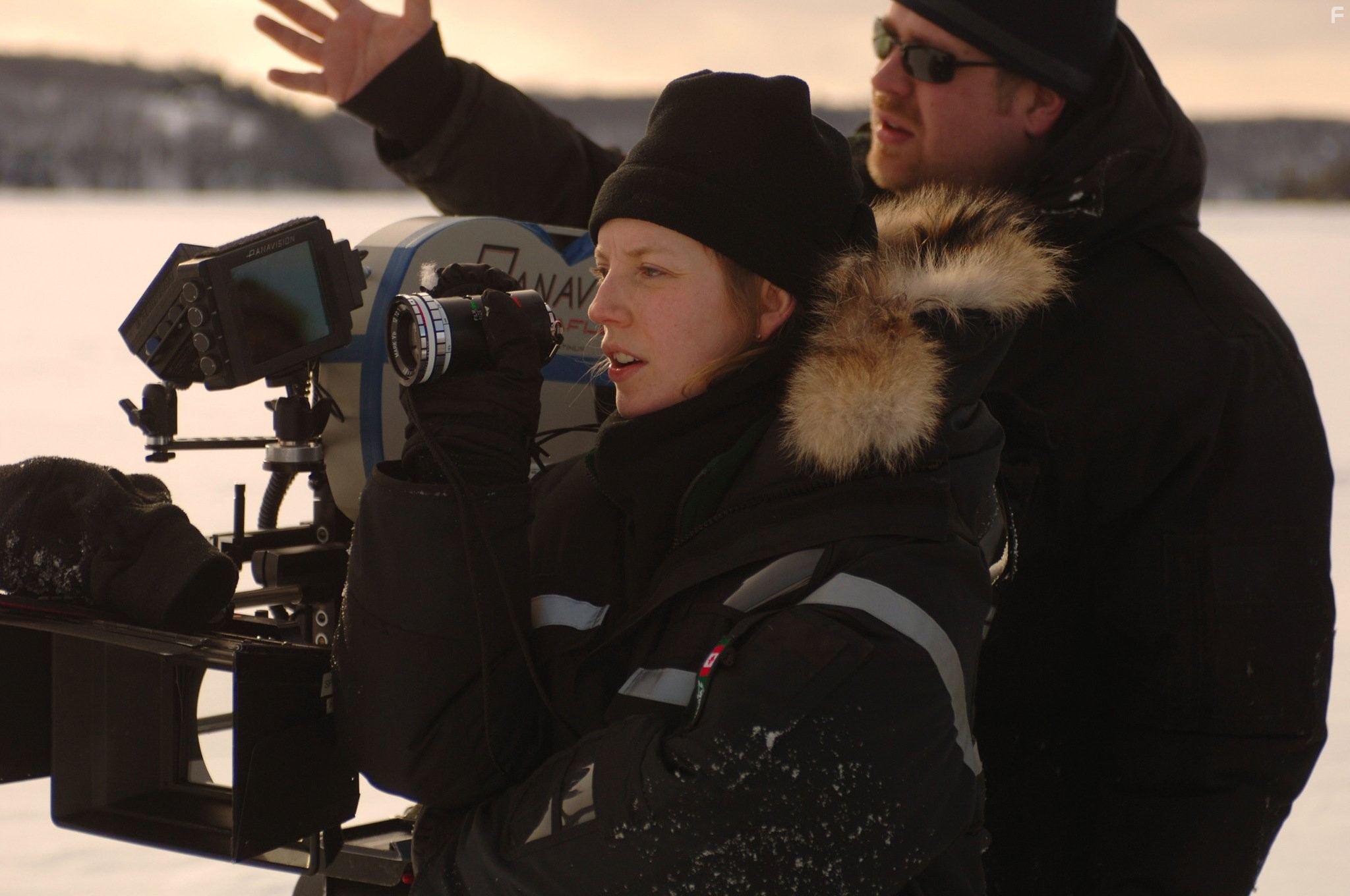 Sarah Polley in Bдaли от нее (2006)